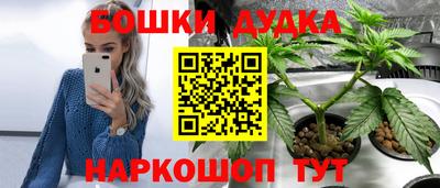 spice Будённовск