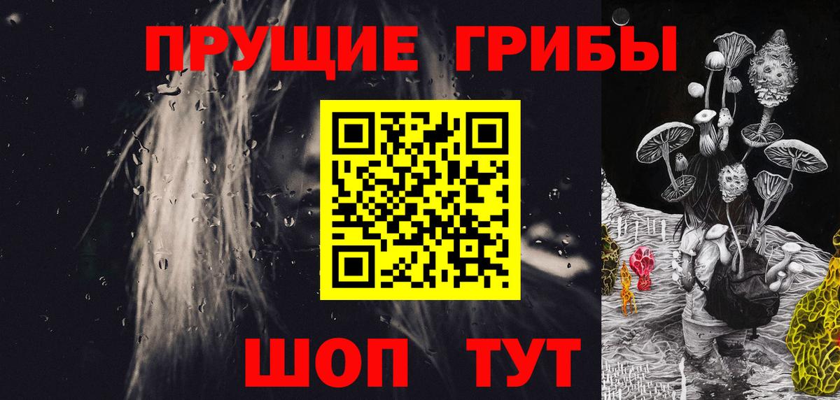 Галлюциногенные грибы Cubensis Каменск-Шахтинский